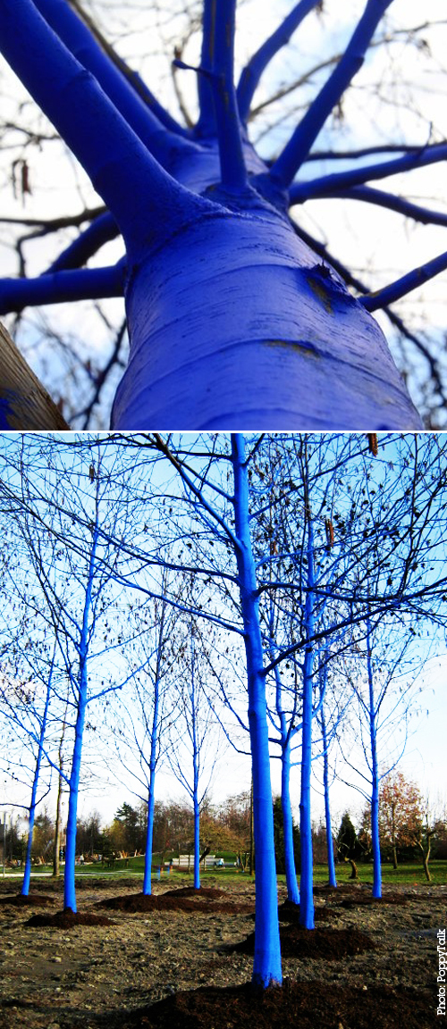 Konstantin Dimopoulos_Blue Forests_Vancouver Biennale