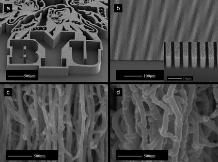 Carbon Nanotube logo
