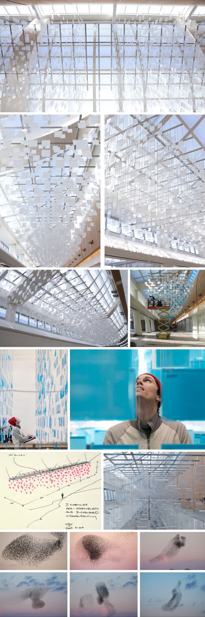 art installation, interactive art