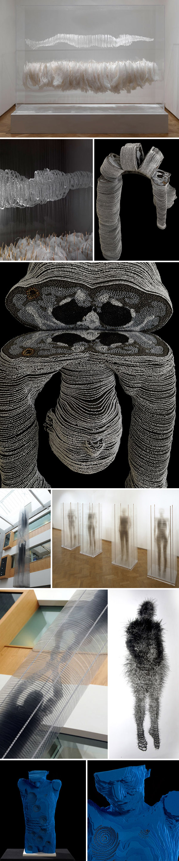 medical imaging sculpture, talking wounds, political sculpture