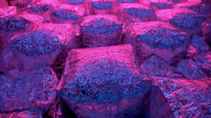 art installation, inflating foil, colored lights, collabcubed