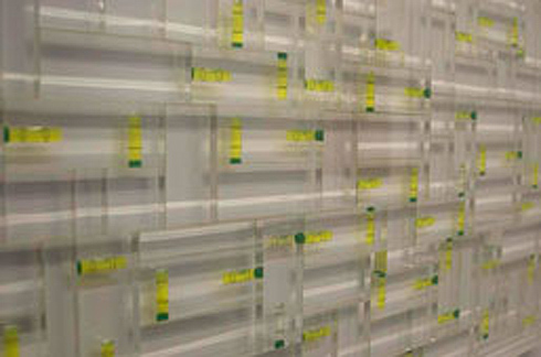 Levels, contemporary art, abstract, australian artist, neon, level compositions