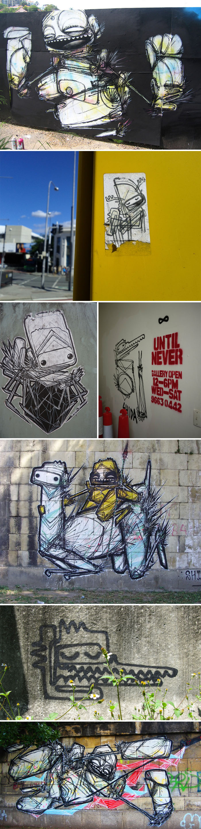 australian street art, graffiti, wall murals, Shida 