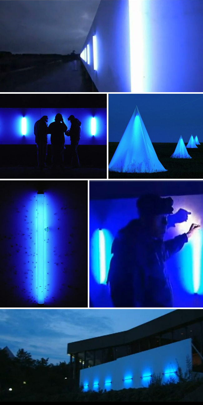 Science, entomology, light installation, art, bugs, insects, teaching, ballengee, collabcubed