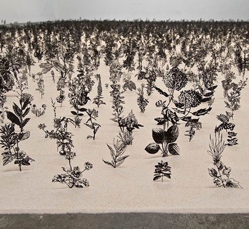 contemporary art installation, Israeli artist, Botanical sculptures, metal flower cutouts