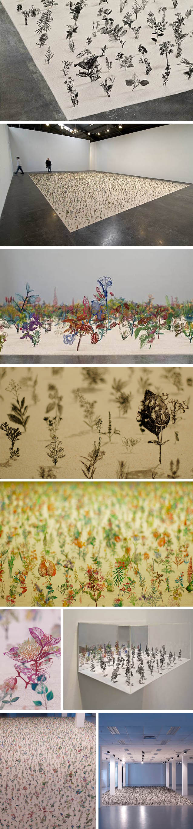 contemporary art installation, Israeli artist, Botanical sculptures, metal flower cutouts