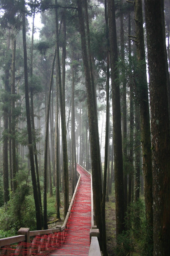 Art Installation in Taiwan, Ana Soler, Red thread on teak walkway, collabcubed
