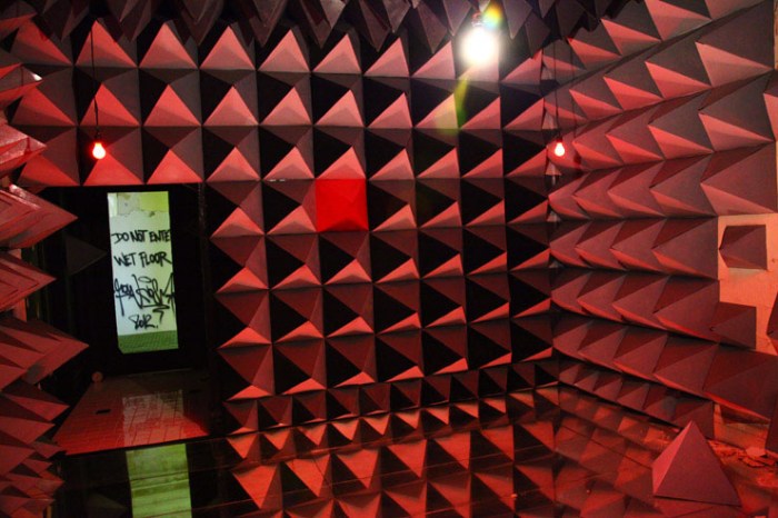 Bronx Senior Citizens Home revitalized with street artist's site-specific works, No Longer Empty, Andrew Freedman Home