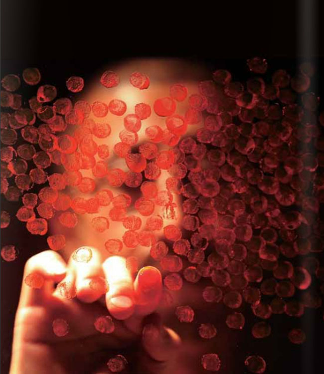 Zhang Yu, Chinese Contemporary art, experimental ink painting, fingerprints, fingerpainting