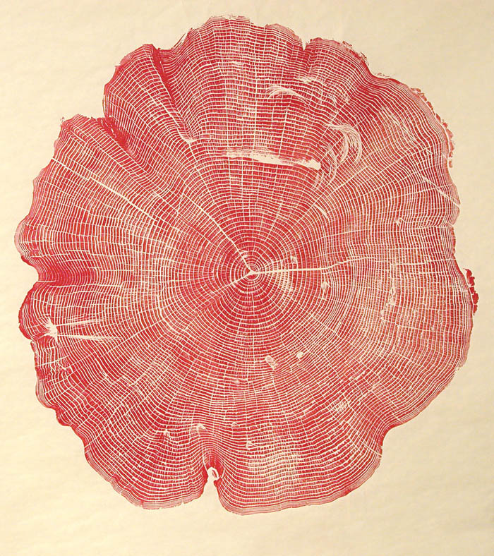 relief prints of tree-trunk cross sections, art from nature and found objects, printmaking, Bryan Nash Gil