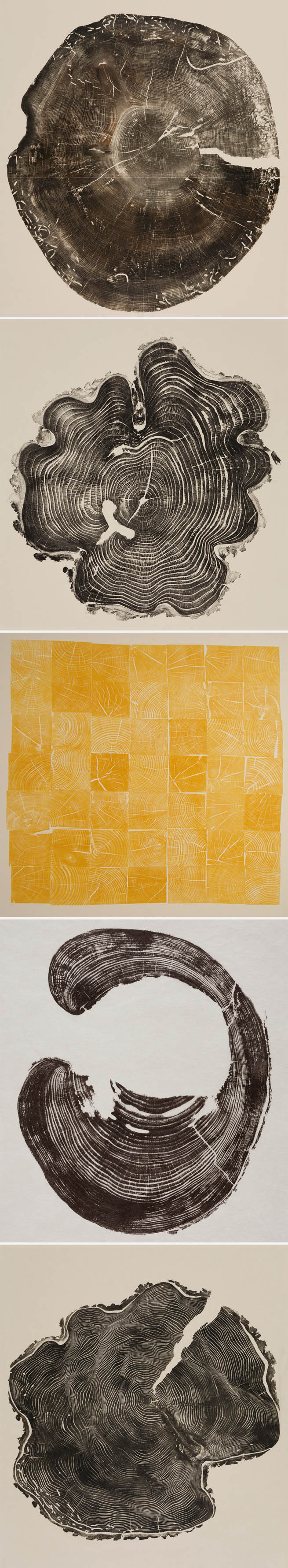 relief prints of tree-trunk cross sections, art from nature and found objects, printmaking, Bryan Nash Gil