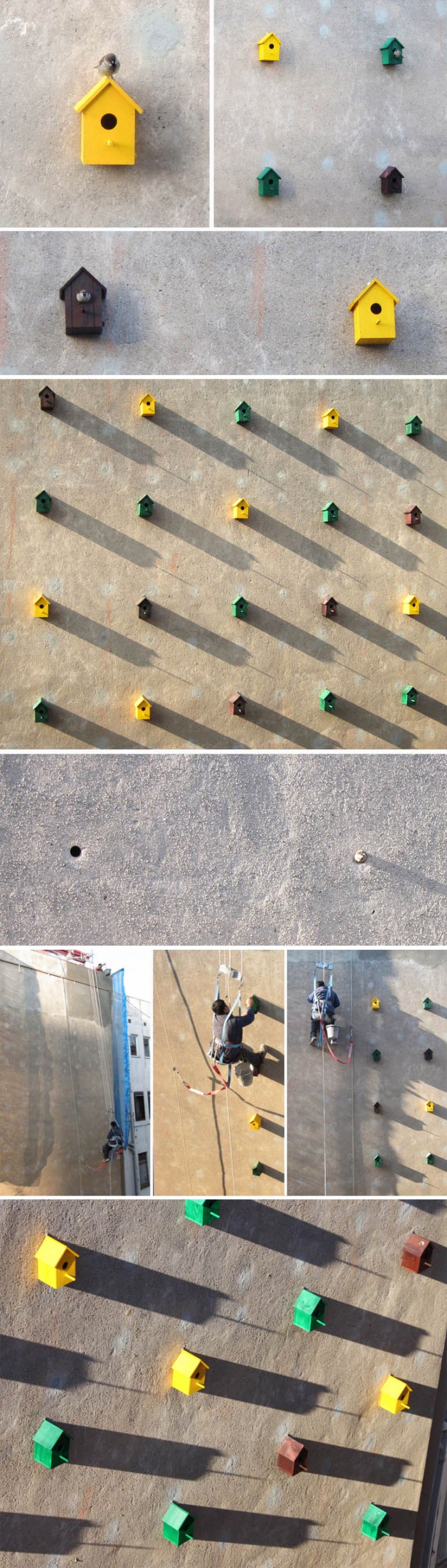 Bird Houses on side of building in Barcelona, Dom Architects, Sparrows come back to nest