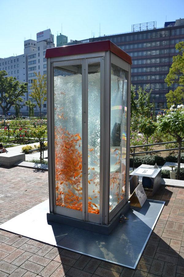 goldfish-phonebooth-aquarium5_collabcubed Street art, Japan, Kingyobu, Goldfish Club, phonebooths converted into aquariums