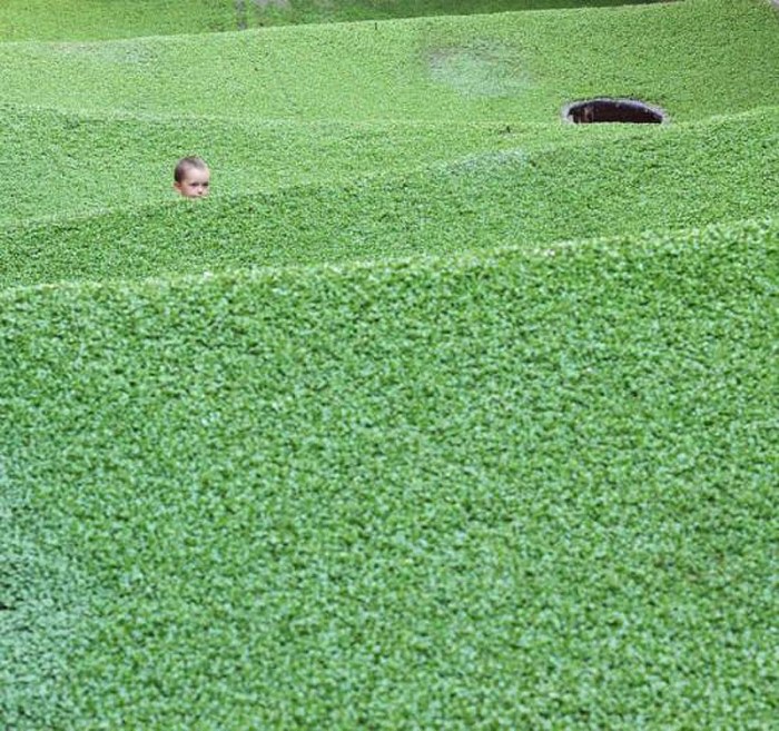 D-day Festival, Zagreb, Numen/For Use, Field, cool installation, grass carpet suspended within a former slaughterhouse