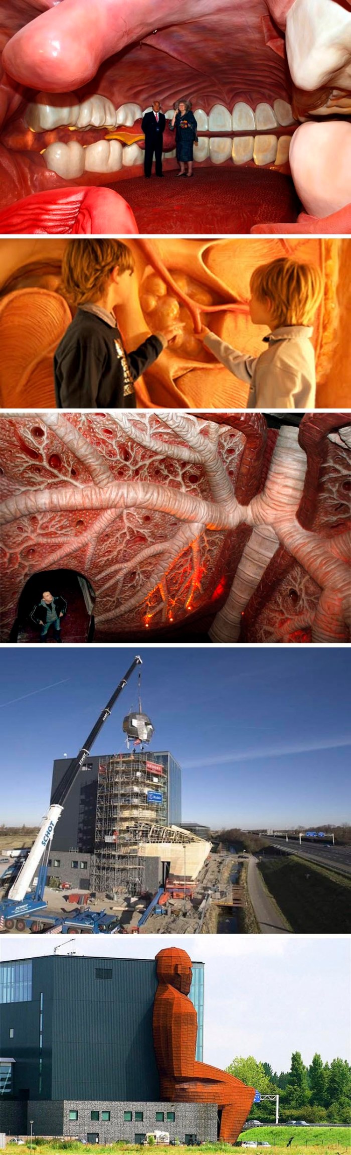 corpus museum of human body, the netherlands, crazy architecture, traveling through body