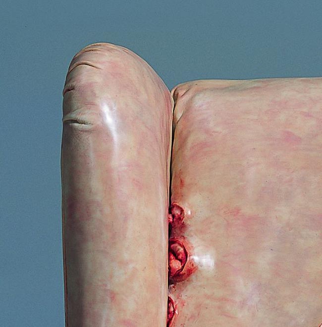 Cao Hui Gutsy sculpture, Resin sculpture with human/animal innards oozing out at seams