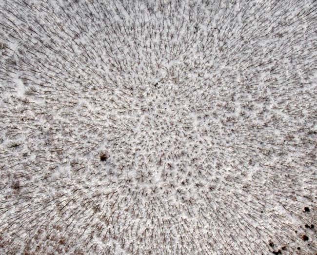 Aerial Photographs of Poland in Winter by Marek Samojeden, contemporary photography from Poland