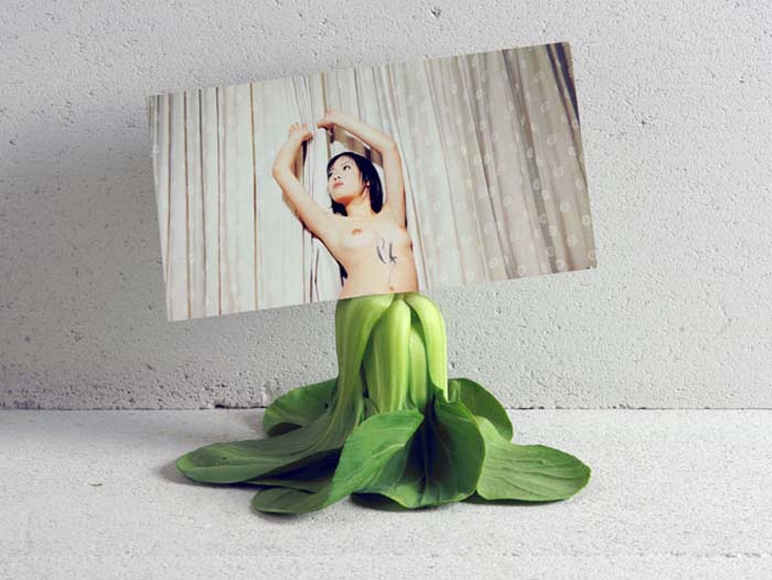 Contemporary photographs by Heidi Voet of nude women's torsos completed by vegetables, humorous photography