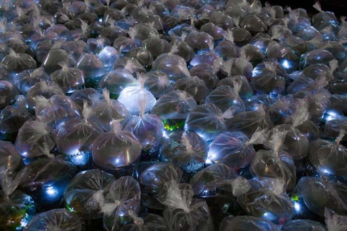 Luzinterruptus, cool installation in Caracas 2012, part of Por en medio de la calle festival de arte, Arts Festival in the Middle of the Street, Portable River installation