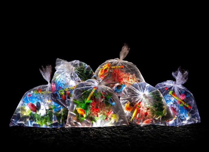 Luzinterruptus, cool installation in Caracas 2012, part of Por en medio de la calle festival de arte, Arts Festival in the Middle of the Street, Portable River installation