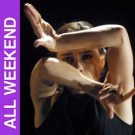 Noche Flamenca, Spanihs Flamenco Dance Performance