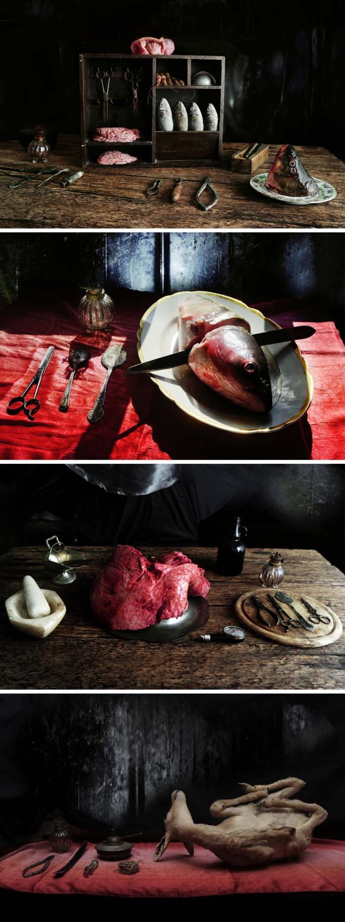 Science and art combine in Eran Gilat's photographic series "Life Science"