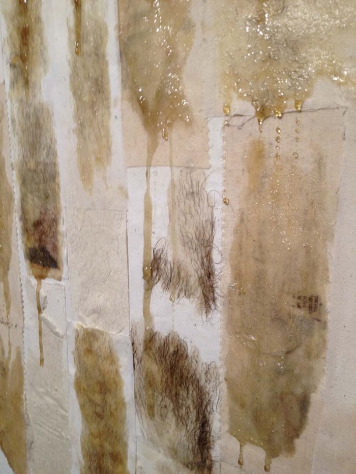 Iris Behler, Brown Senior Art Project, Attach//Detach, Leg and Bikini wax strips as paintings/sculptures, shocking art, feminist art