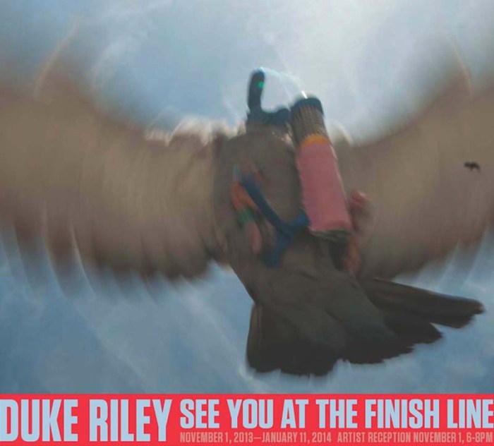Duke Riley, Magnan Metz, Homing Pigeons fly to Cuba and bring back cigars; See You At The Finish Line