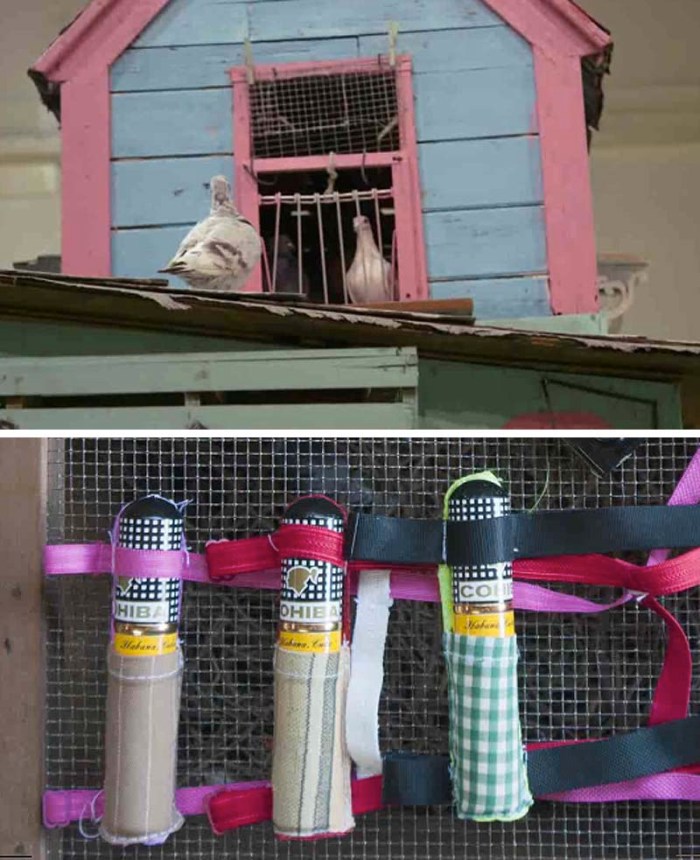 Duke Riley, Magnan Metz, Homing Pigeons fly to Cuba and bring back cigars; See You At The Finish Line