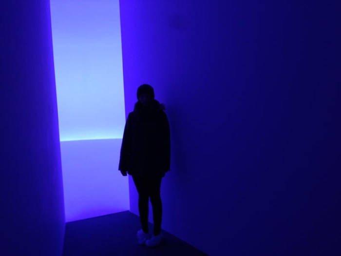 Doug Wheeler, cool light installation, rotational horizon, David Zwirner Gallery, nyc, contemporary art